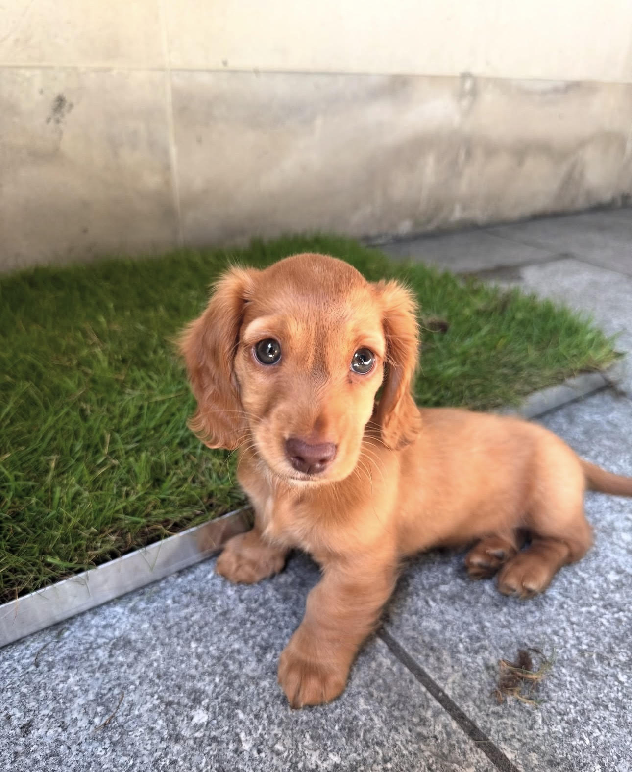 Winnie